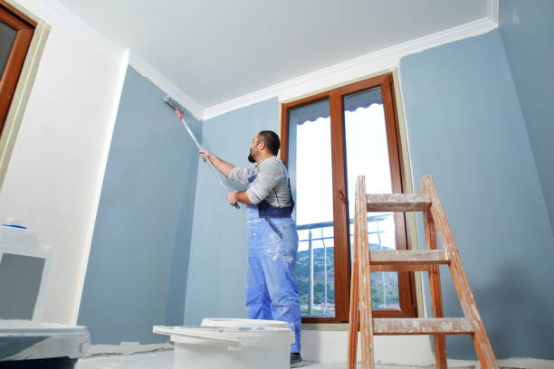 Reliable Livonia, MI Mold Removal Solutions