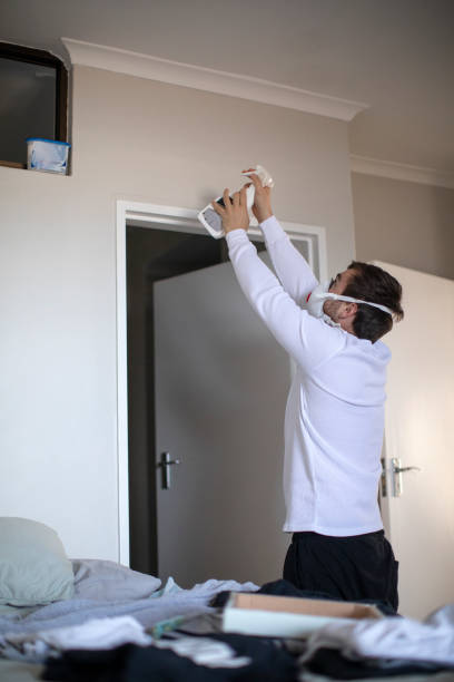 Best Mold Remediation for Healthcare Facilities  in Livonia, MI