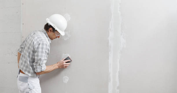 Best Industrial Mold Remediation  in Livonia, MI