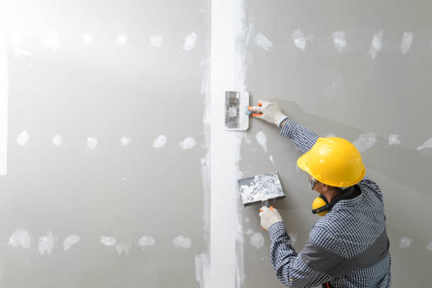 Best Biohazard Mold Removal  in Livonia, MI