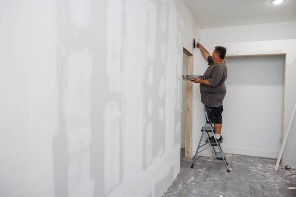 Best Mold-Related Health Consultation  in Livonia, MI