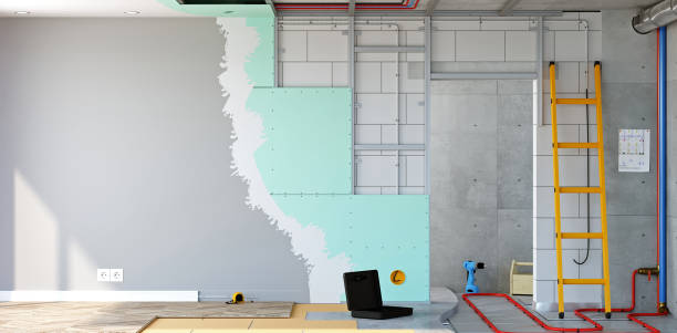 Biohazard Mold Removal in Livonia, MI