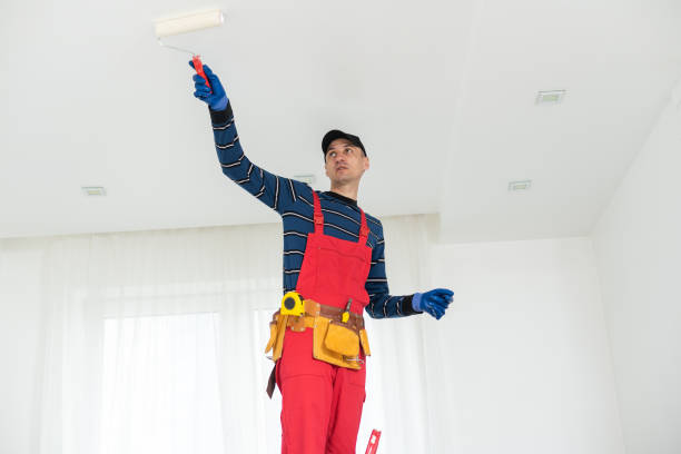 Best Crawl Space Mold Remediation  in Livonia, MI