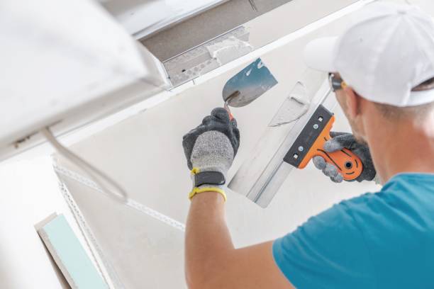 Best Comprehensive Air Testing for Mold Contaminants  in Livonia, MI